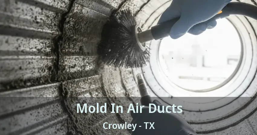 Mold In Air Ducts Crowley - TX