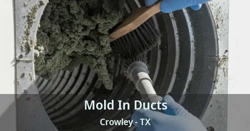 Mold In Ducts Crowley - TX