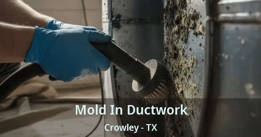 Mold In Ductwork Crowley - TX Mold In Ductwork Crowley - TX