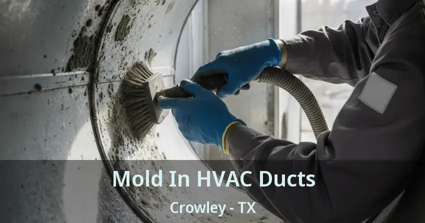 Mold In HVAC Ducts Crowley - TX